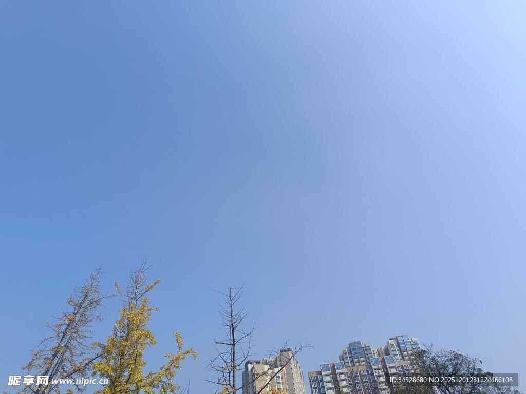 蓝天黄叶下的城市建筑