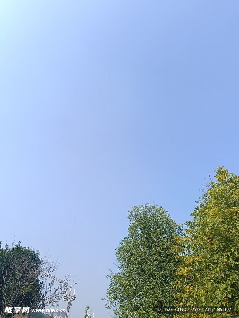 蓝天绿树风景图