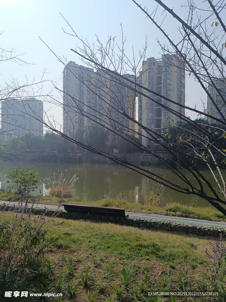 城市河畔旁的高楼与绿地