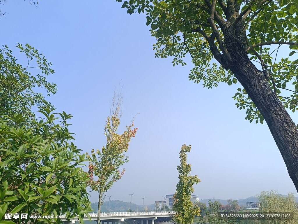 湖畔绿树蓝天风景如画