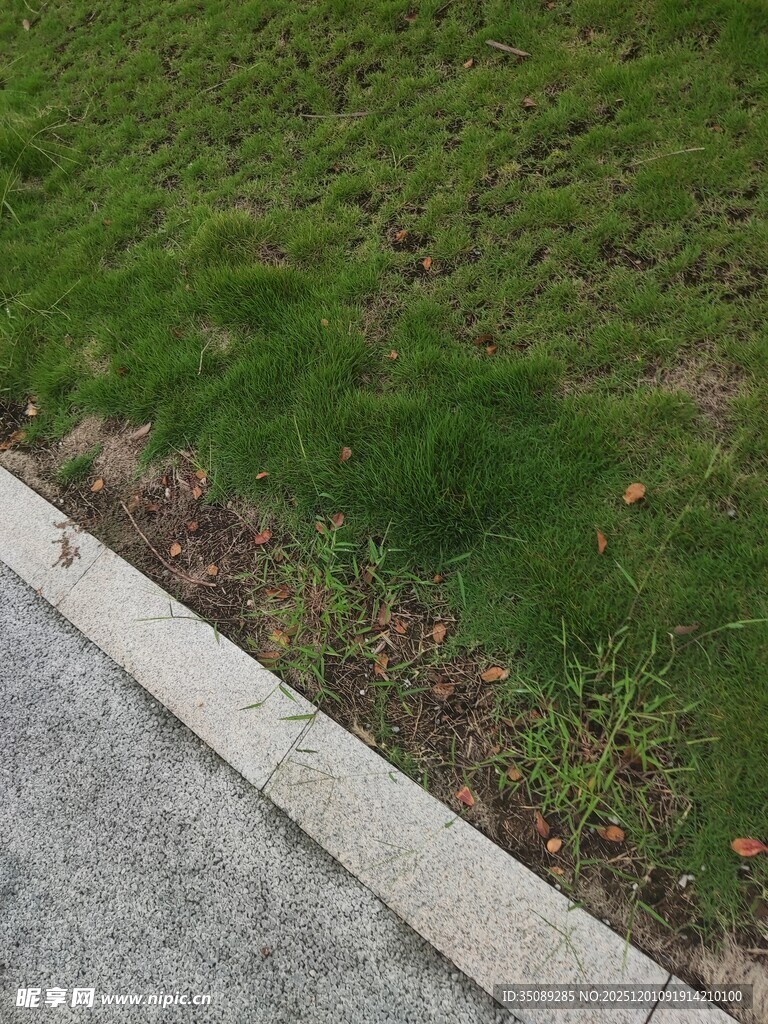 路边嫩绿草地与灰色路沿