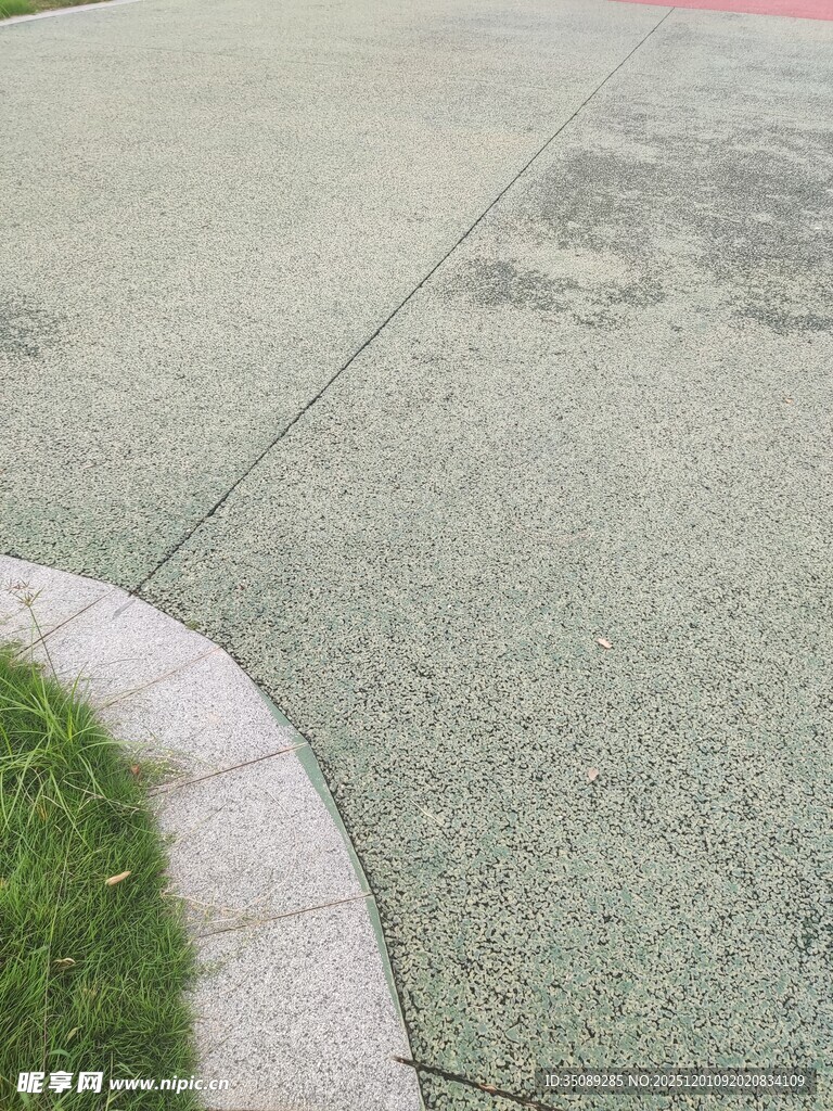 路边绿化旁的水泥地面