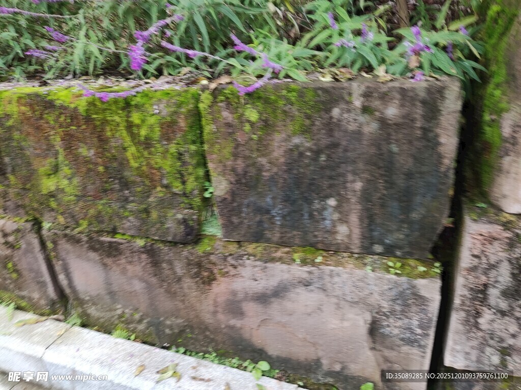 长满青苔的古老石墙