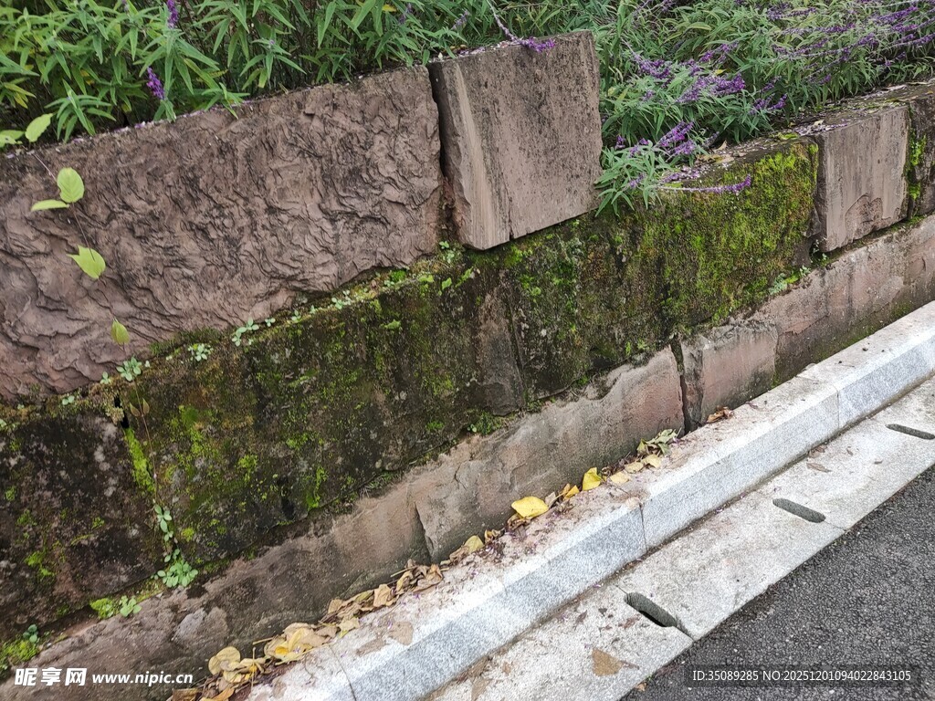 长满青苔的石墙
