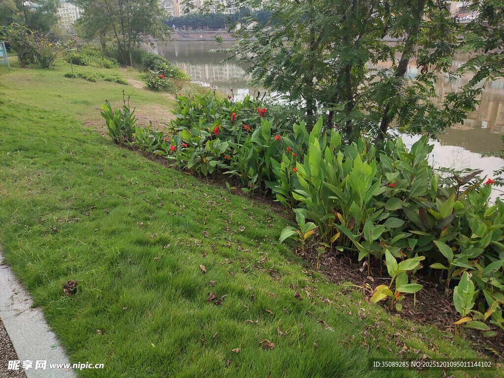 河畔绿草绿植景观