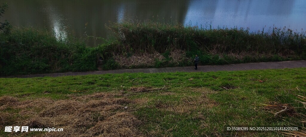 户外草地与模糊背景景观