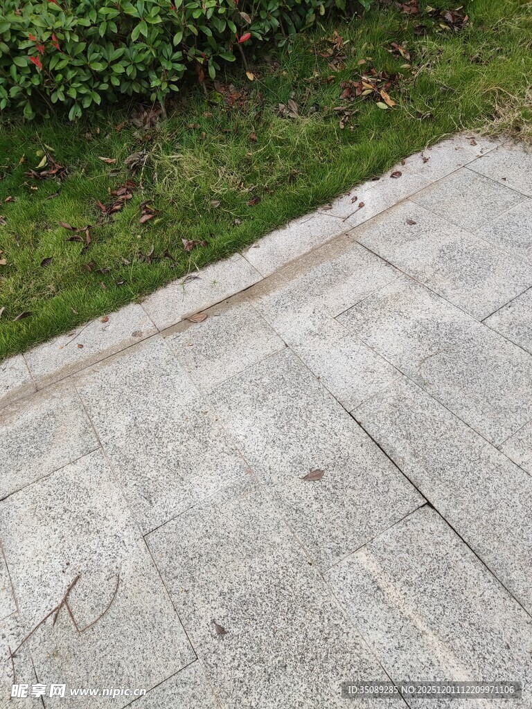 户外石板路与周边绿植