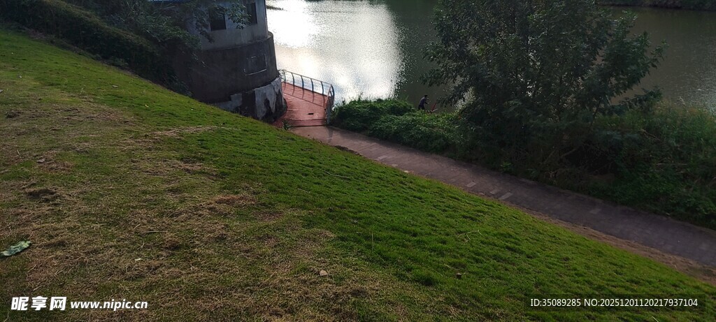 户外草地旁的道路景观