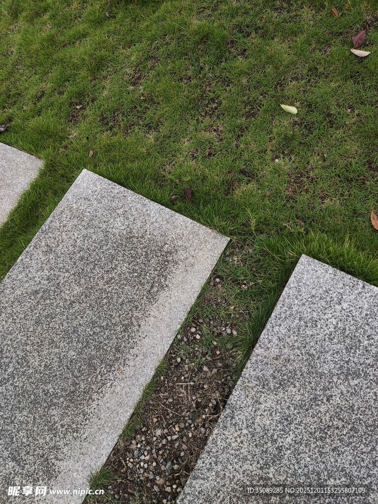 石板小径旁的翠绿草地