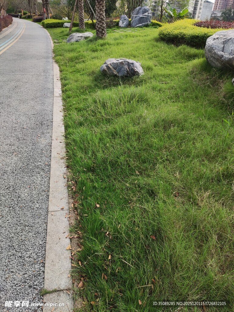 路边翠绿草地与石块景观