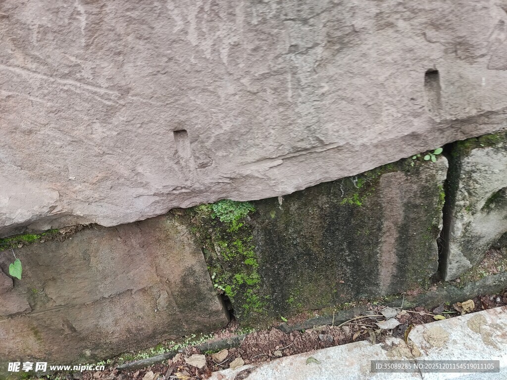 古老石壁下的绿植景观