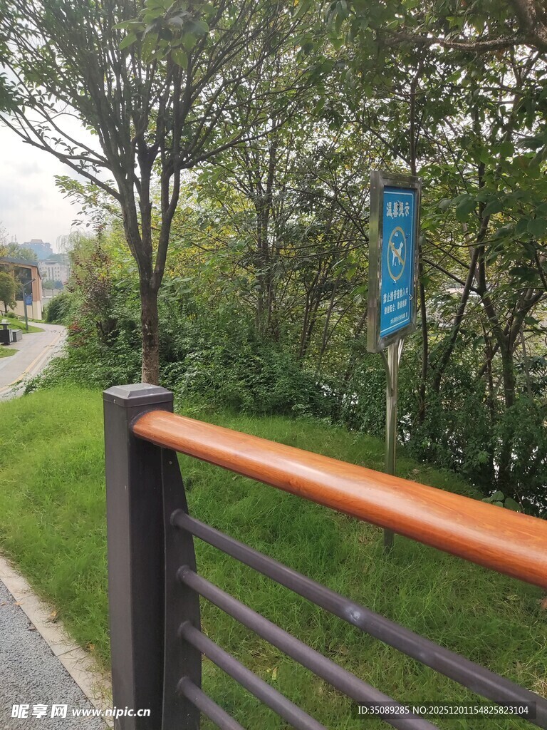 户外栏杆旁的自然景致