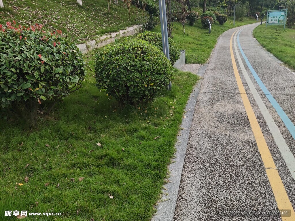 城市绿化带中的蜿蜒小路