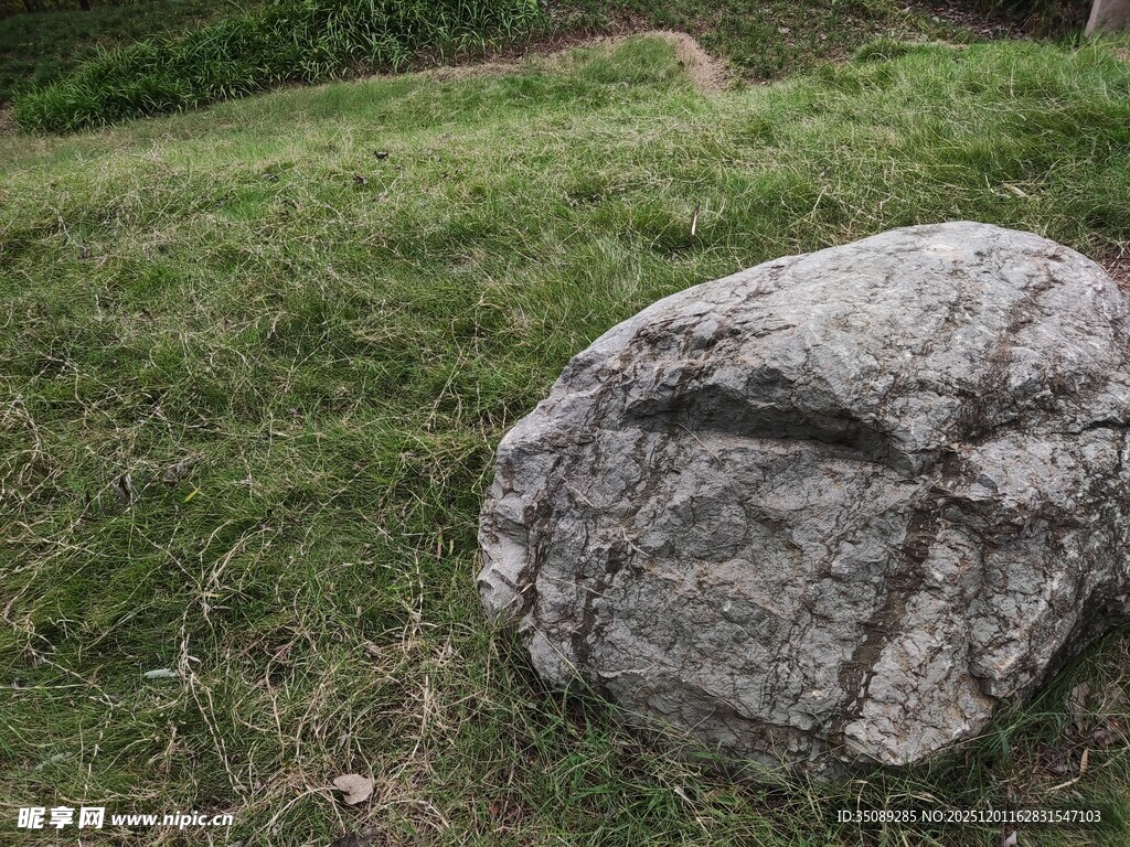 草地上的一块大石头