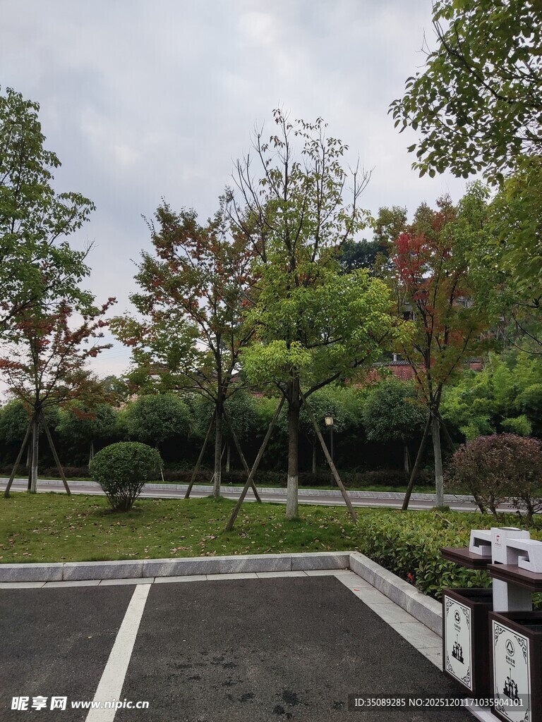 户外停车场及周边绿化景观