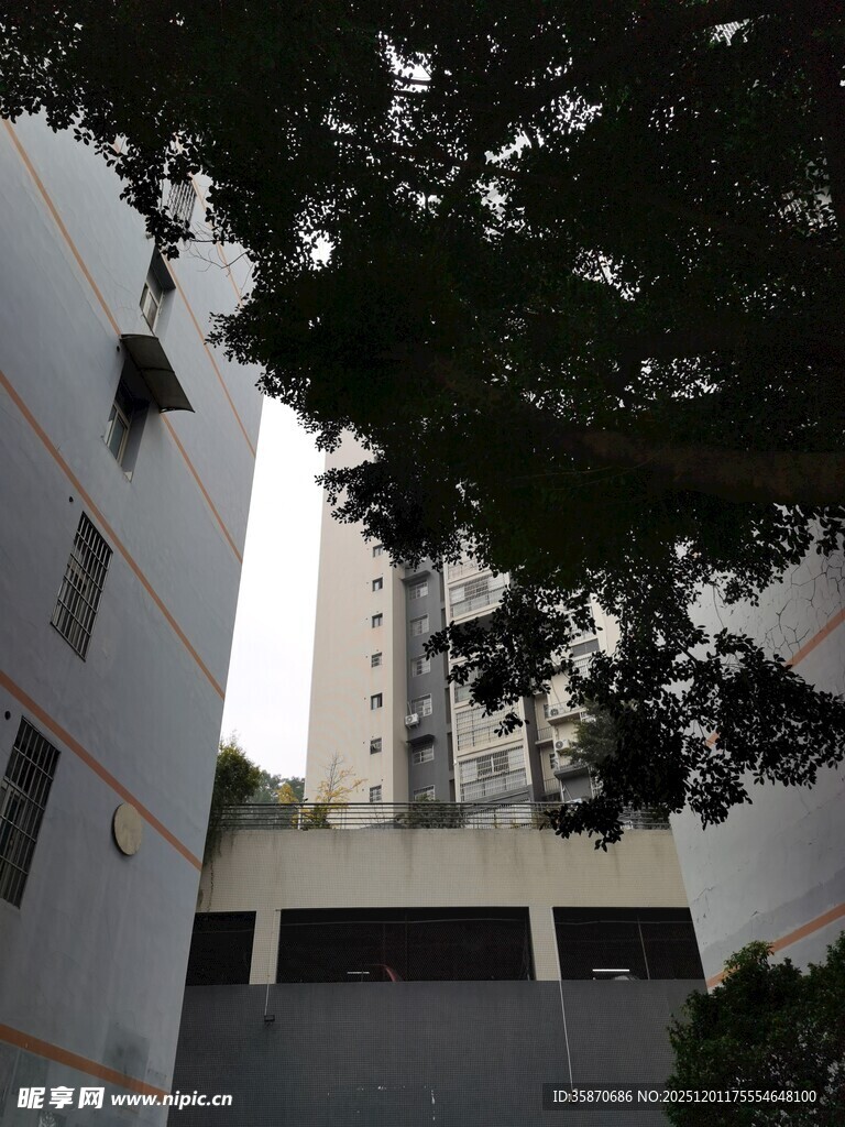 城市建筑与绿树相映成趣