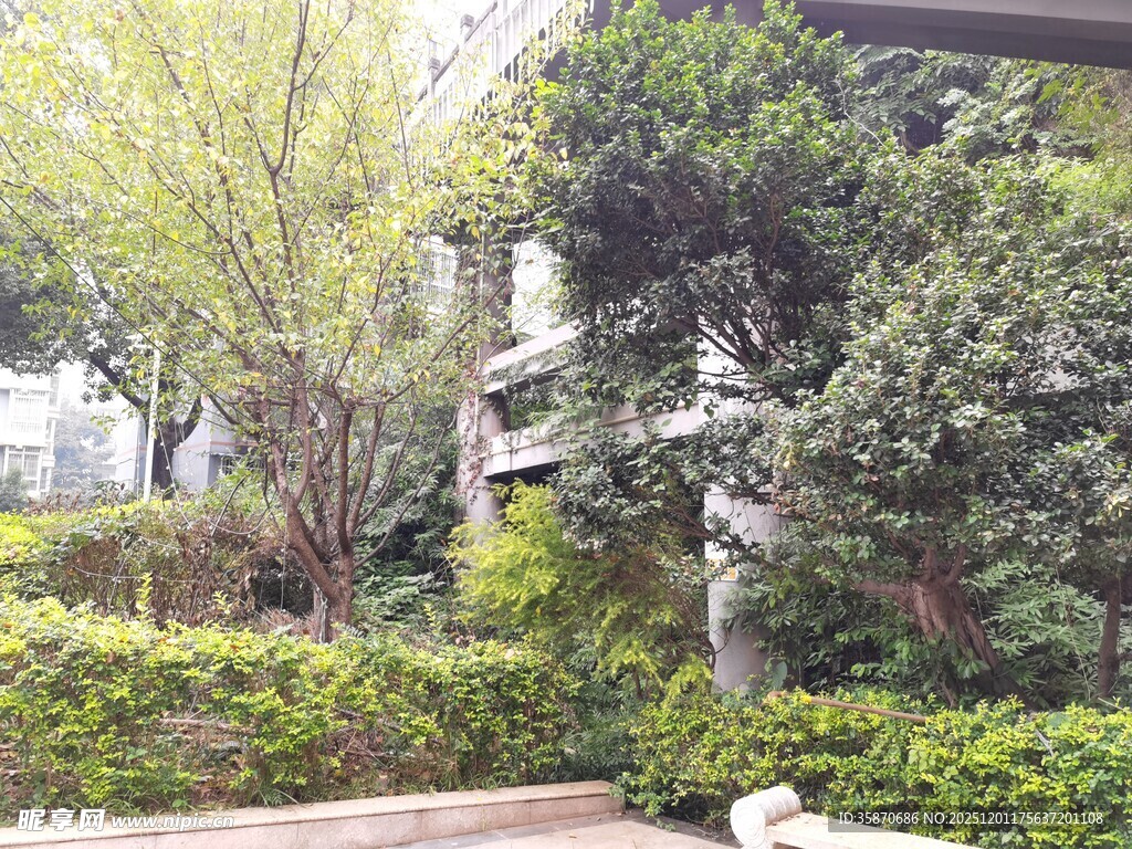 城市中的绿植景观