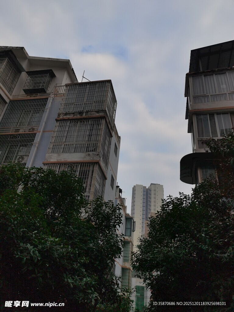 老旧居民楼与绿树景观