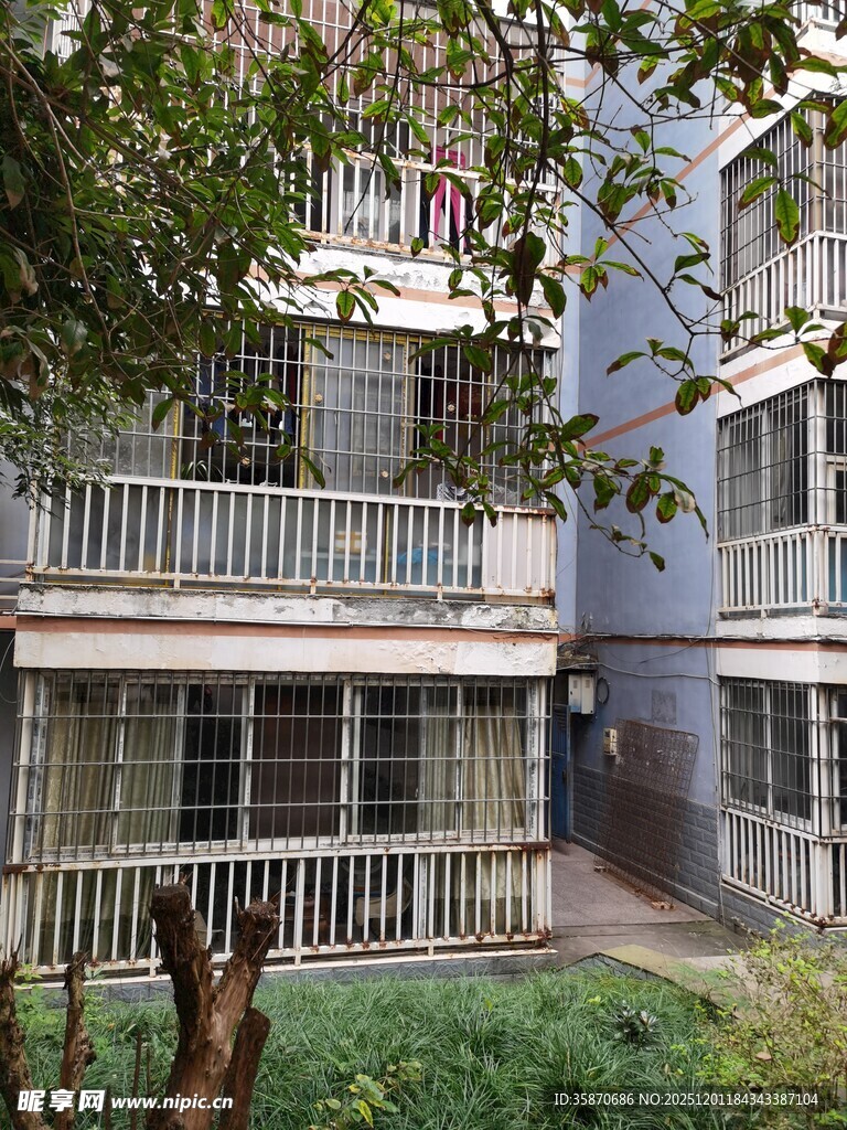 老旧居民楼外的绿植景观