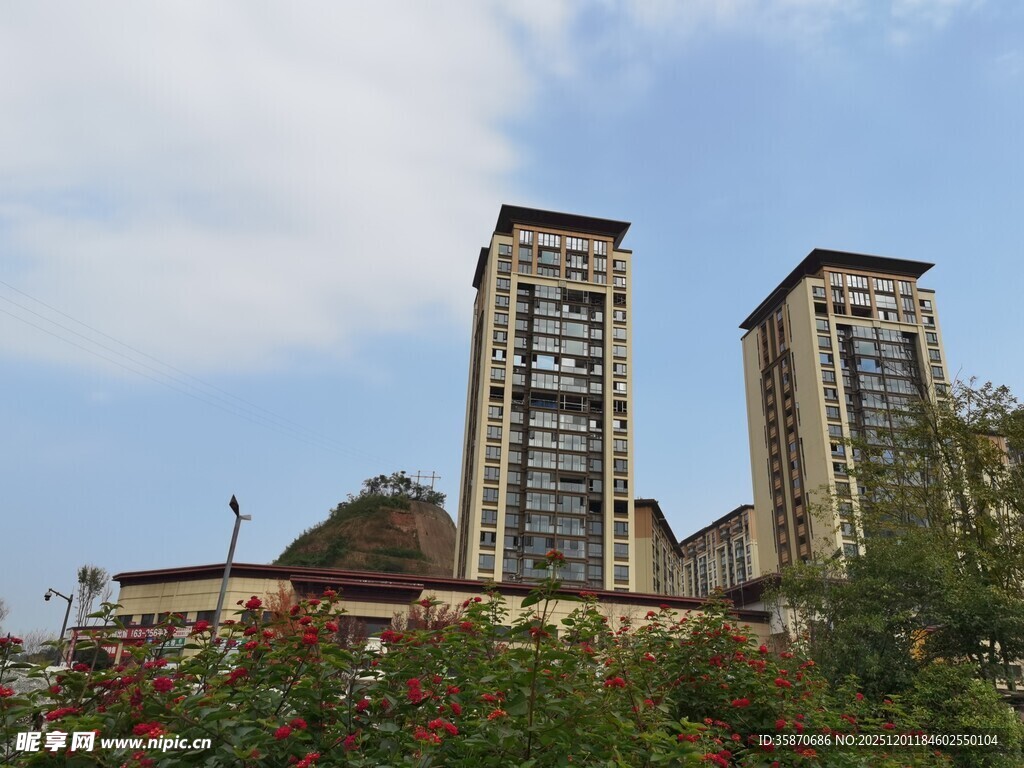 城市高楼旁的绿植景观