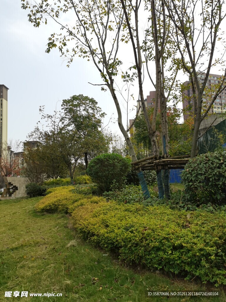 城市中的绿意盎然景观