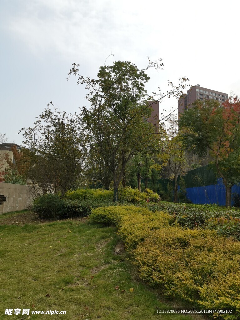 城市中的绿意盎然景观