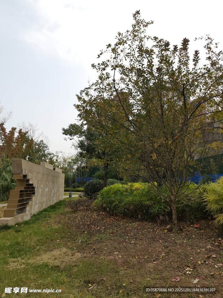 户外绿植景观一角