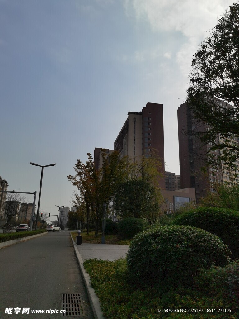 城市道路旁的高楼景观