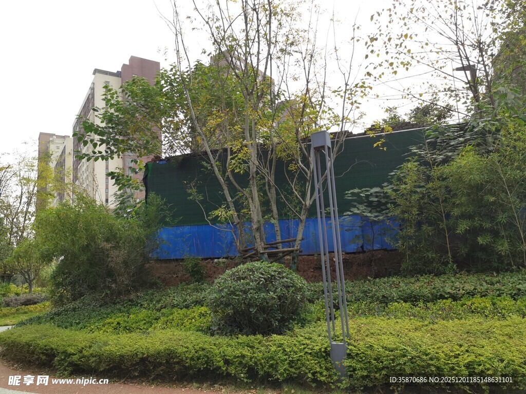 城市绿植环绕的建筑景观