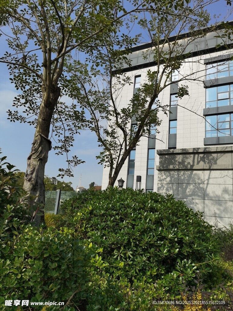 现代建筑旁的绿植景观