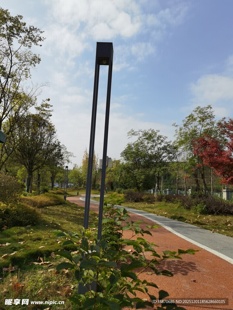 公园中的景观路灯与绿植