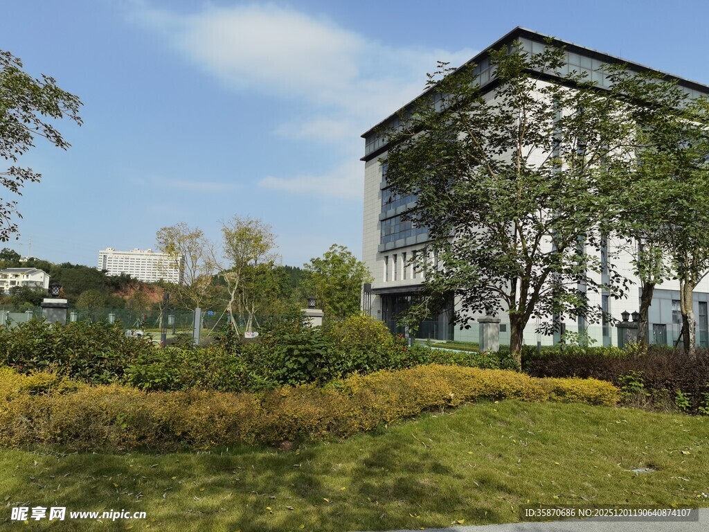 现代建筑旁的绿植景观