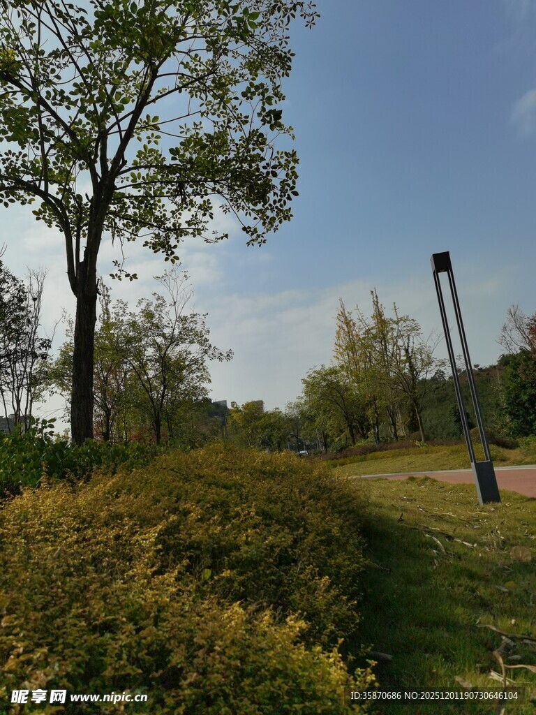 郊外绿意盎然的自然景致