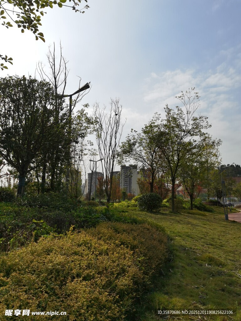 城市中的绿意盎然景观