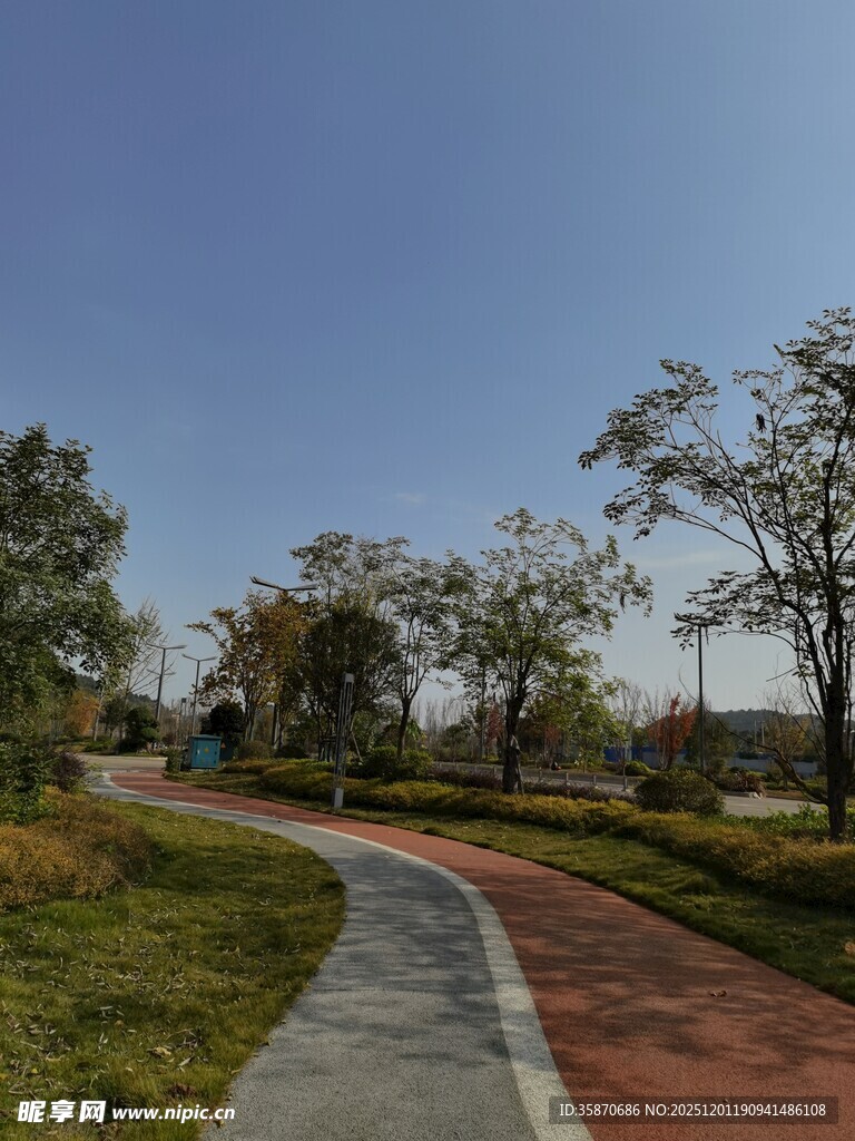 公园彩色步道风景