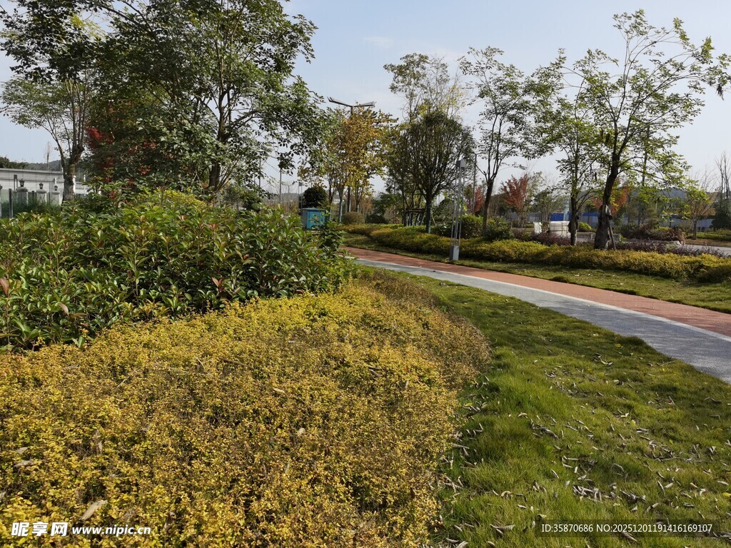 城市中的绿意盎然景观