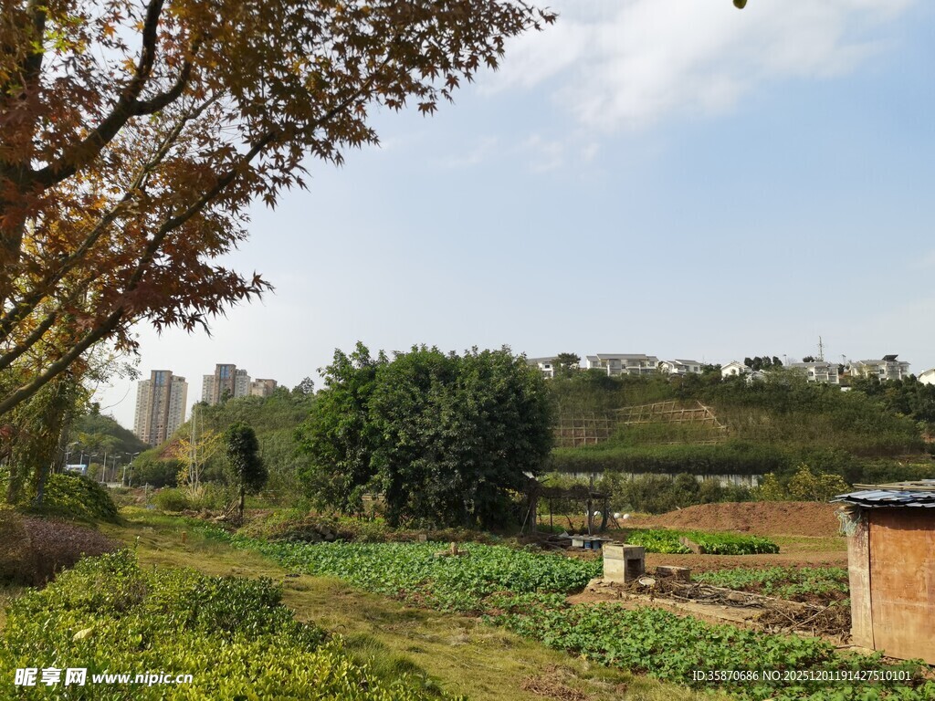 乡村田园风光美景
