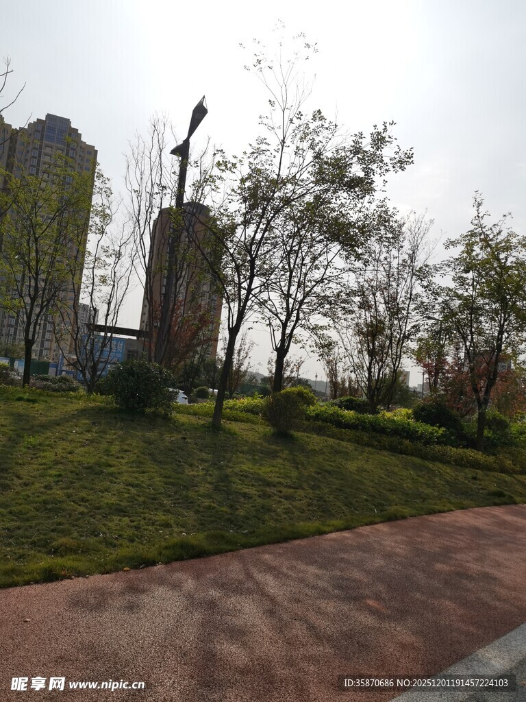 城市公园中的雕塑景观