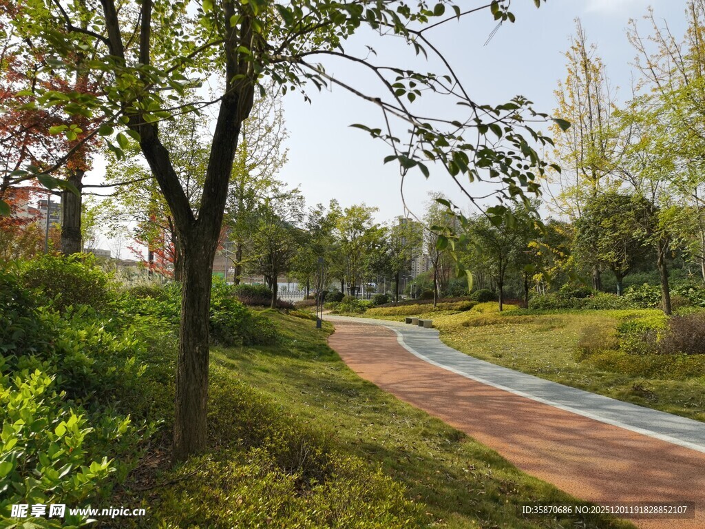 城市中的静谧林间步道