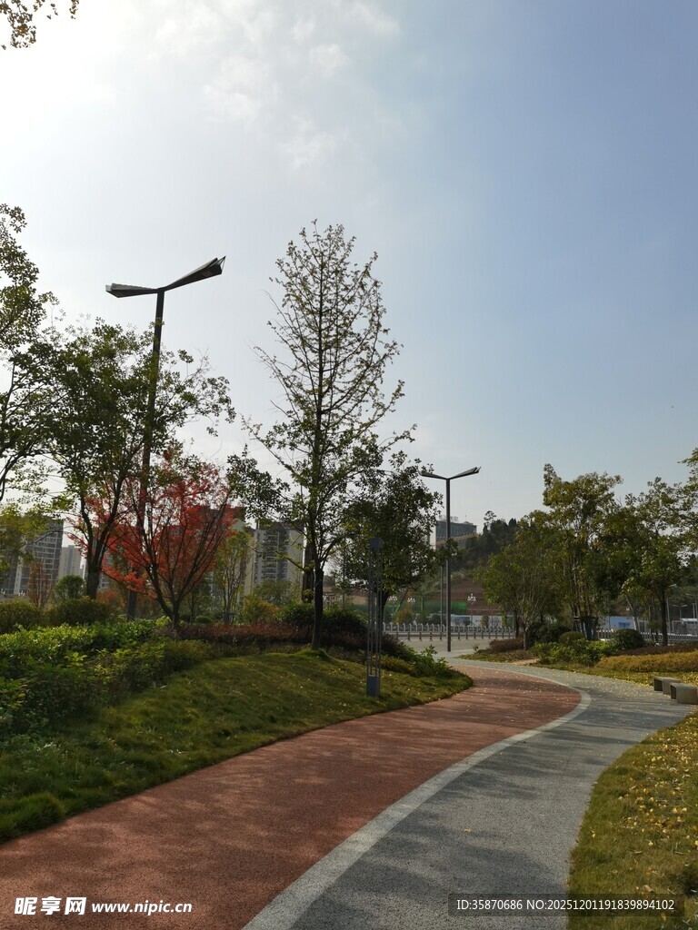 城市公园中的优美步道景观