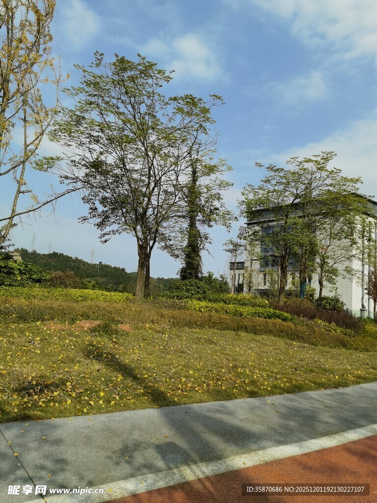 户外开阔绿地与建筑景观