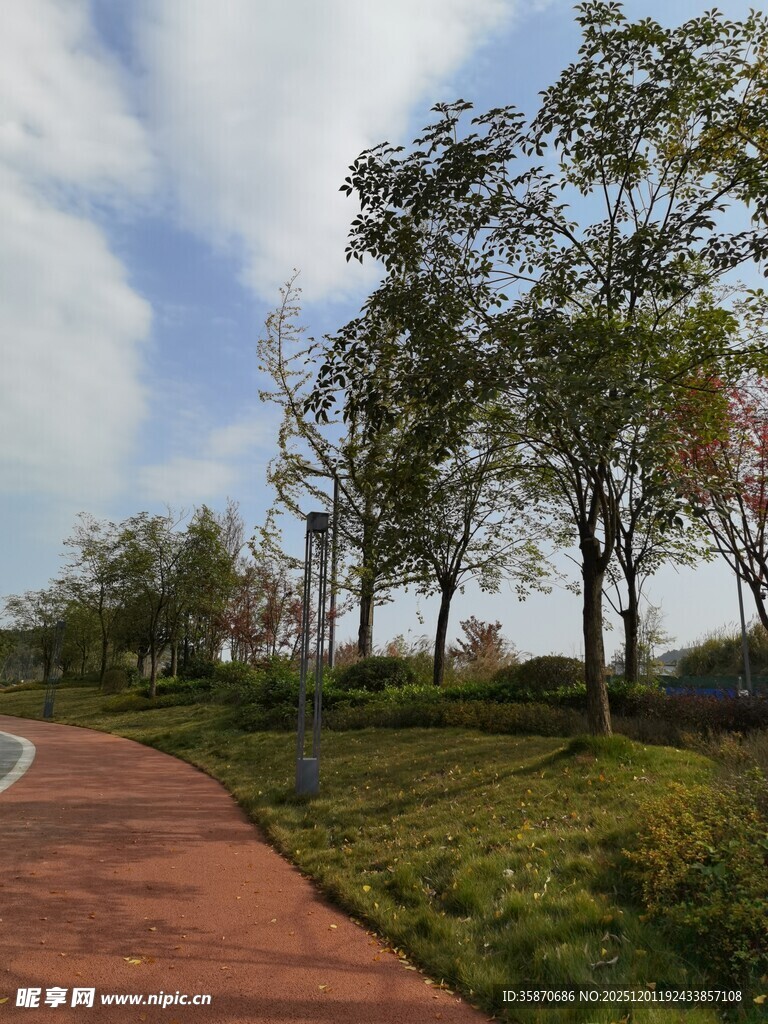 公园蜿蜒小径与绿树风光