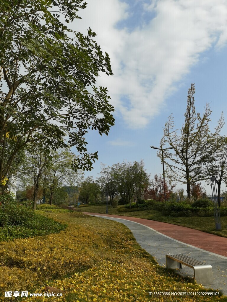 秋日林间小路美景
