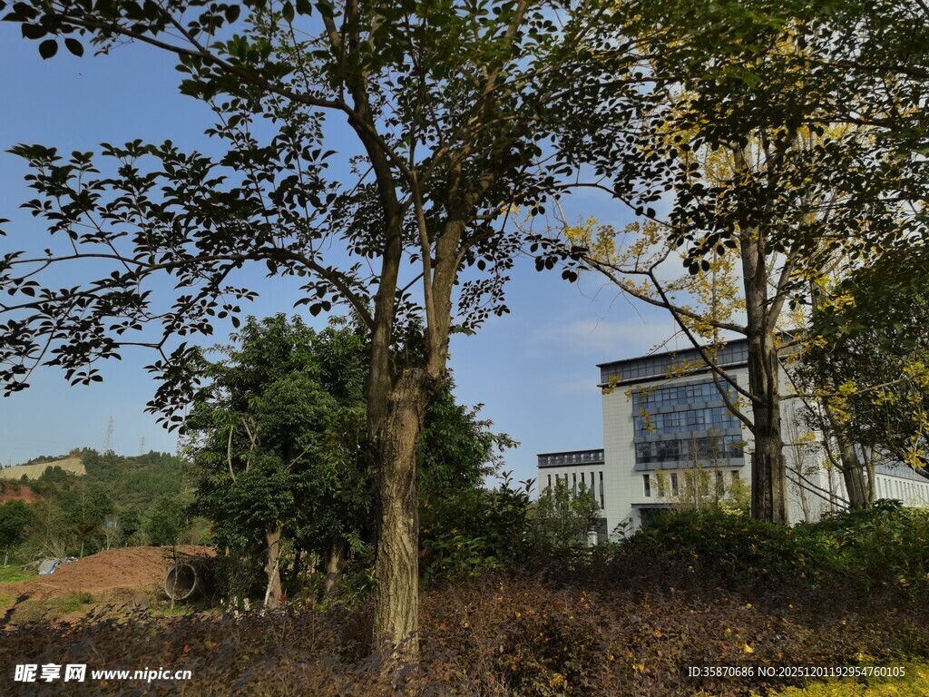 户外树木环绕的建筑景观