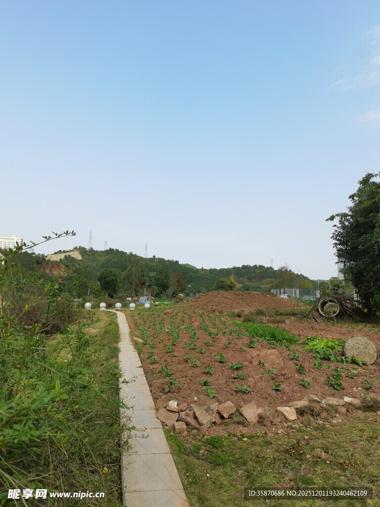 乡村田野间的小径风光