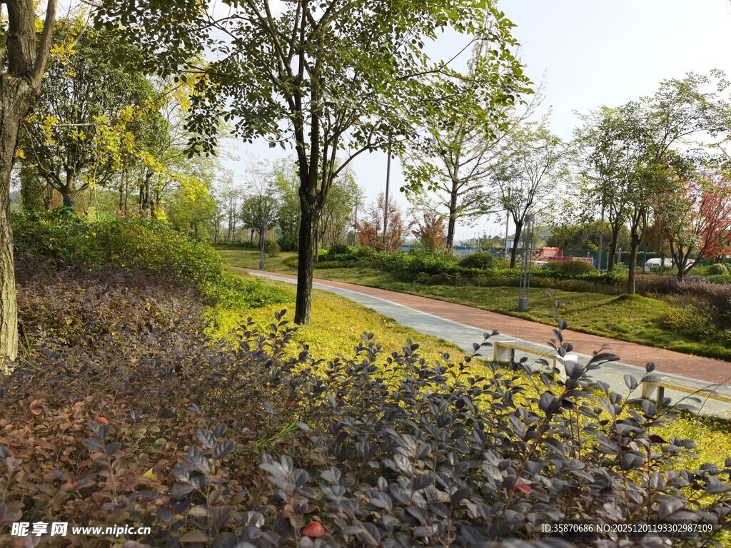 秋日林间小道景观