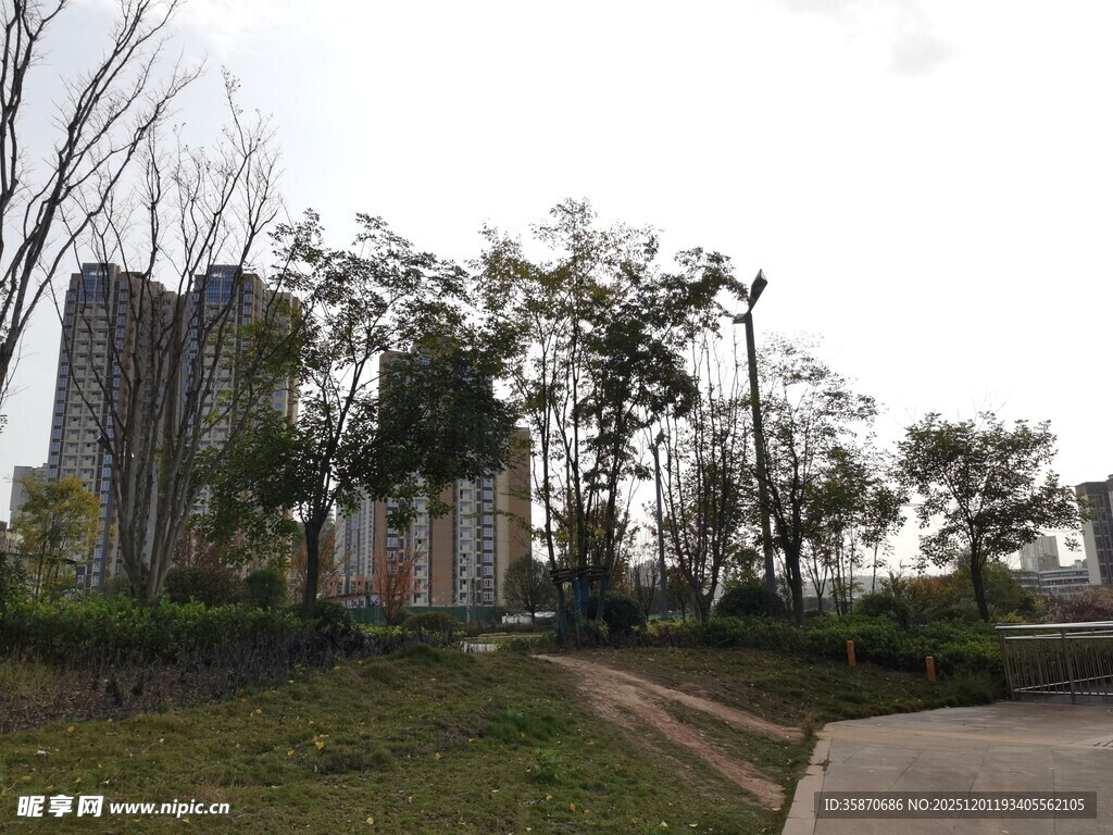 城市中的绿化景观小路