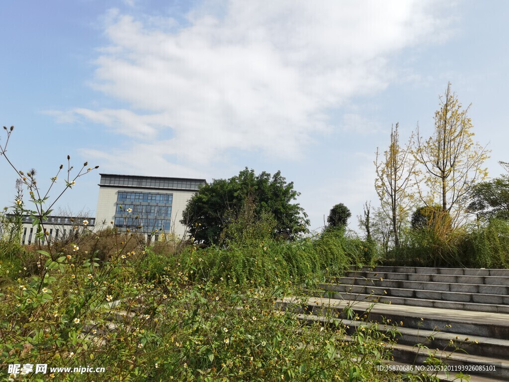 户外绿植环绕的建筑景观