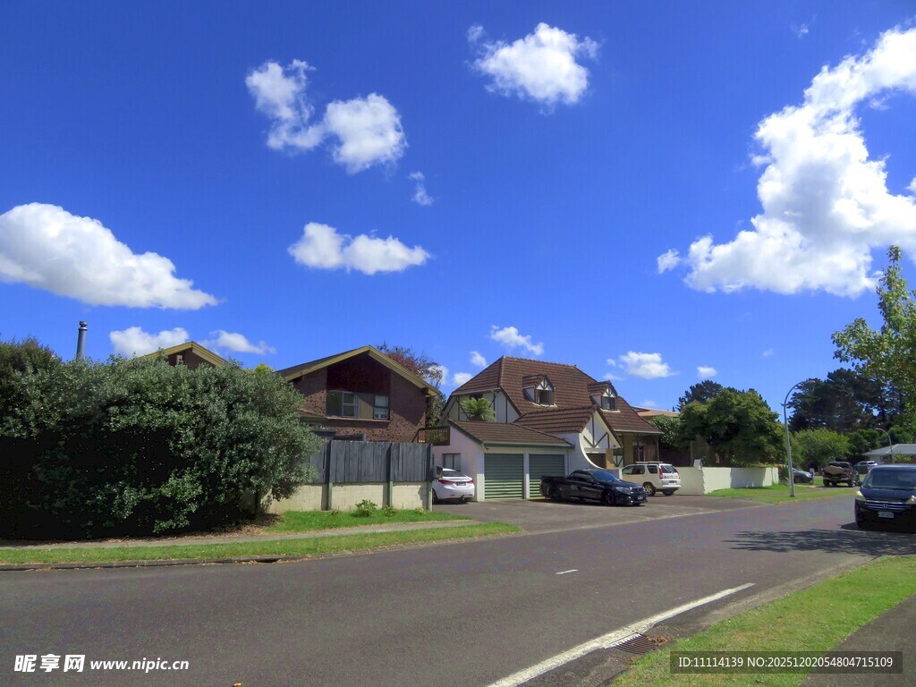 乡村道路旁的住宅景象