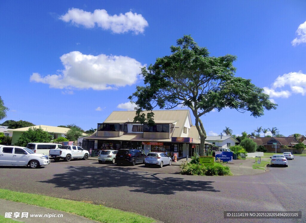 奥克兰小镇风景